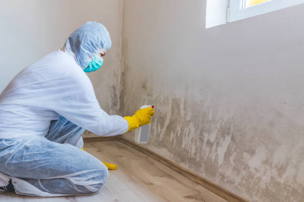Hvac And Air Duct Mold Remediation inspection of HVAC system in New Brunswick