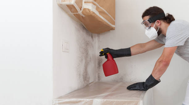 Attic Mold Remediation treatment on roof deck in New Brunswick